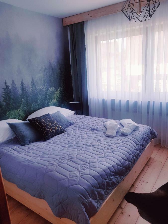 Otuleni Tatrami Apartments コシチェリスコ エクステリア 写真