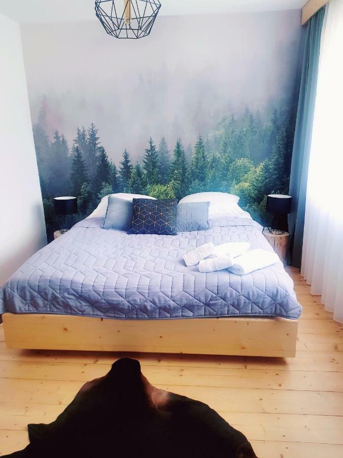 Otuleni Tatrami Apartments コシチェリスコ エクステリア 写真